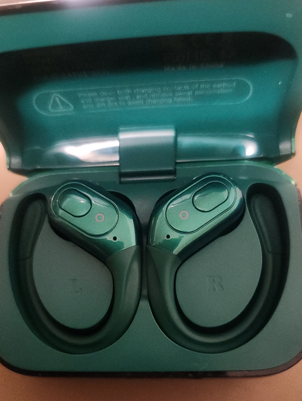Teal True Wireless Earbuds with Charging Case